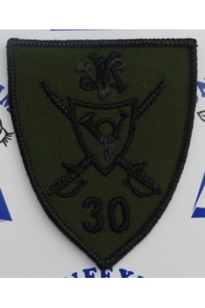 Brigada 30 Garda Mihai Viteazul instructie